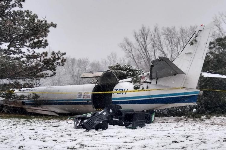 53 honden overleven vliegtuigcrash