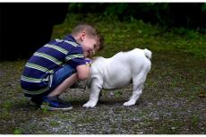 Kinderen herkennen hondentaal niet, of reageren verkeerd...