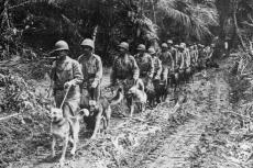 Honden in de oorlog (deel 2)
