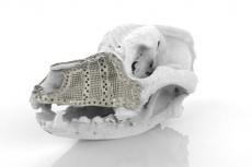 Voor het eerst 3D-printtechnologie gebruikt bij hond met kanker