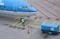 Hond overlijdt tijdens KLM-vlucht naar Los Angeles